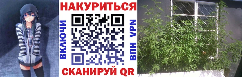 Каннабис Арсеньев