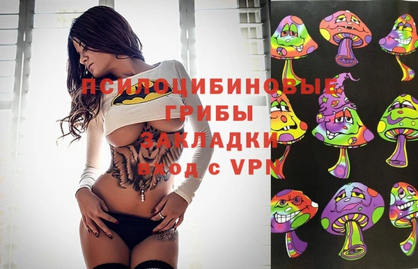 mdpv Рославль