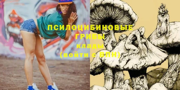 прущая мука Алзамай