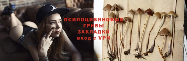 прущая мука Алзамай