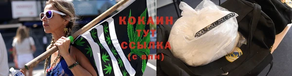 индика Алексеевка