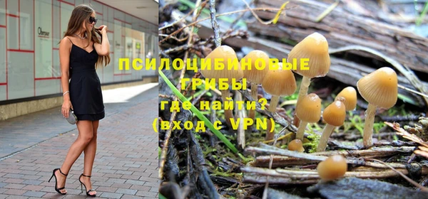 гашик Абинск