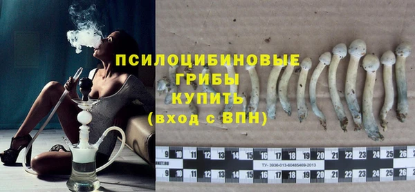 бошки Алексин