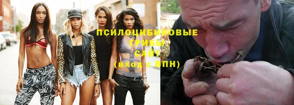 стаф Абдулино